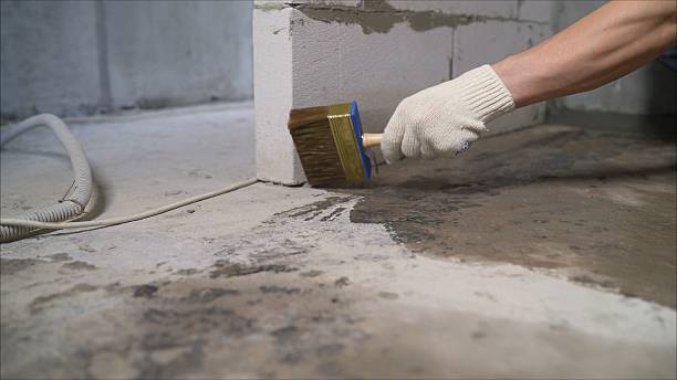 SJ Waterproofing Pros Waterproofing coverage map for Manchester, MI and surrounding area
